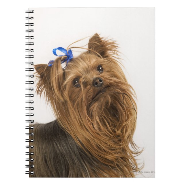 Cuaderno Yorkshire Terrier (Frente)