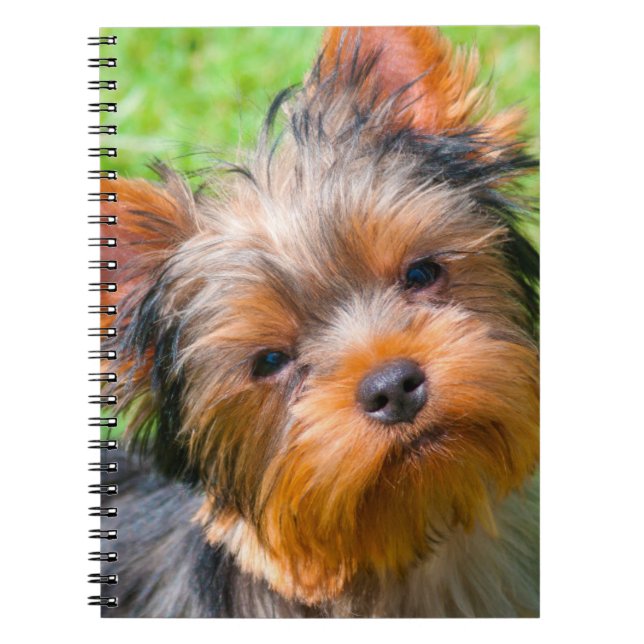 Cuaderno Yorkshire Terrier mirando hacia arriba (Frente)