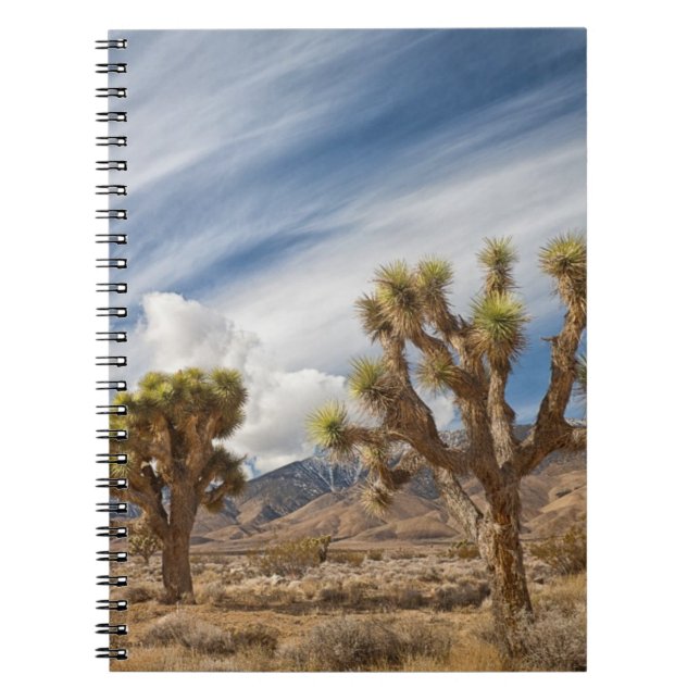 Cuaderno Yucas en desierto (Frente)