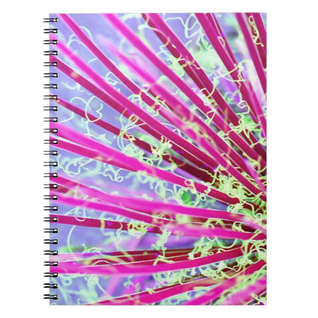 Cuaderno Yucca psicodélica (Frente)