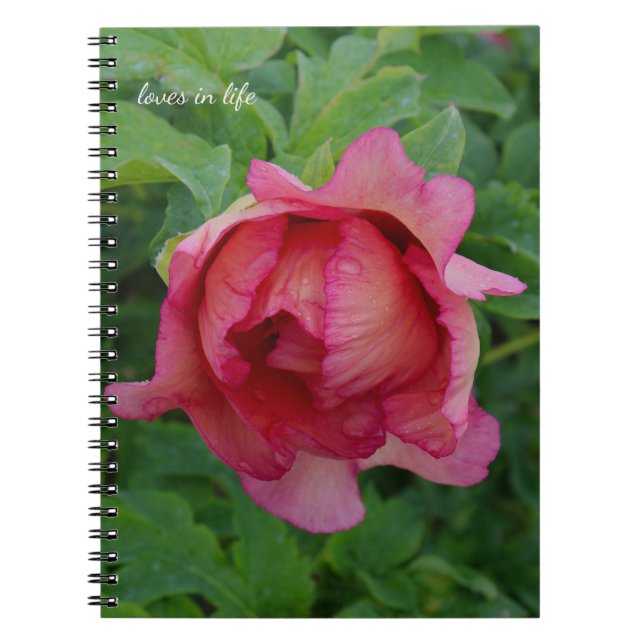 Cuaderno Yummy Pink Blooming Peony (Frente)