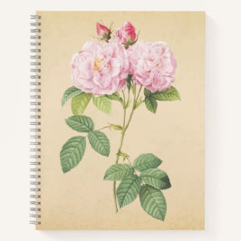Cuaderno Zarte Frankreich Rose 
