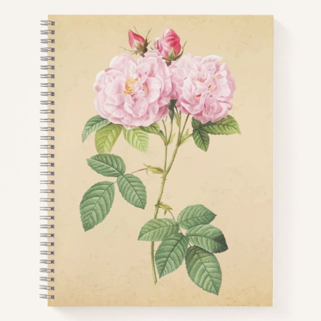 Cuaderno Zarte Frankreich Rose 
