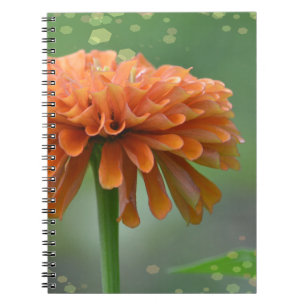 Cuaderno Zazzled Zinnia