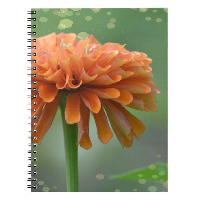 Cuaderno Zazzled Zinnia (Frente)