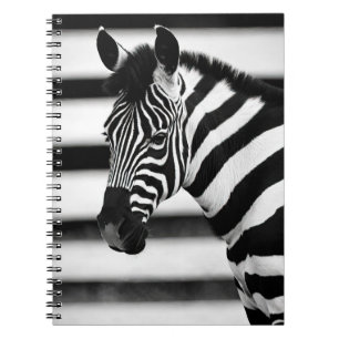 Cuaderno Zebra