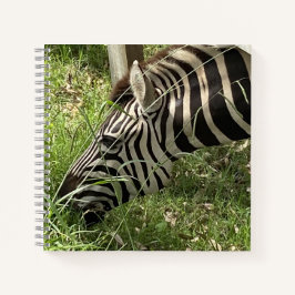 Cuaderno Zebra Notebook