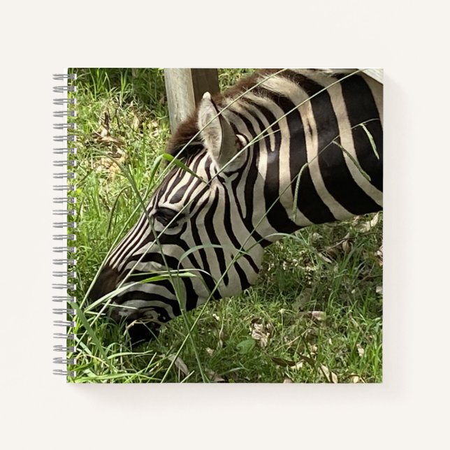 Cuaderno Zebra Notebook (Anverso)