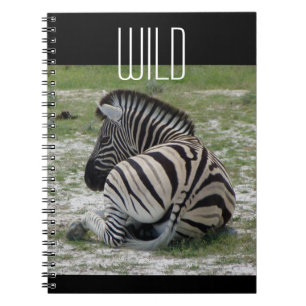 Cuaderno Zebra Notebook