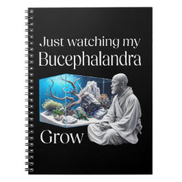 Cuaderno Zen and Bucephalandra – The Art of Aquascaping