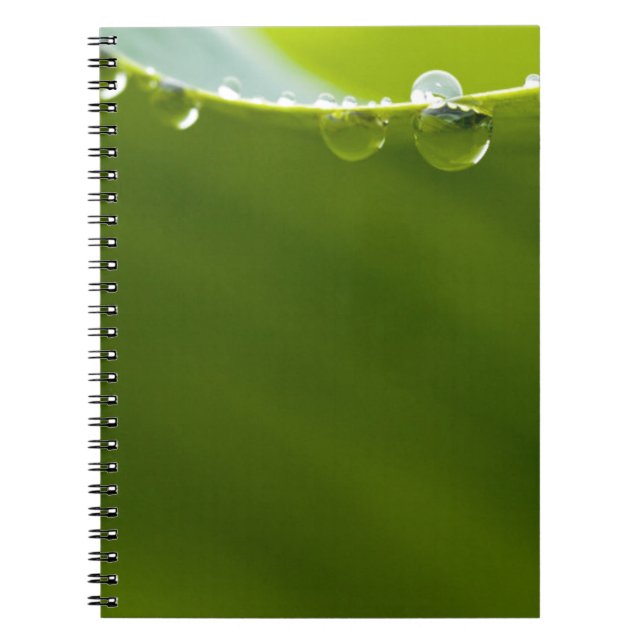 Cuaderno Zen Love Green Lotus Leaf Water Drop (Frente)
