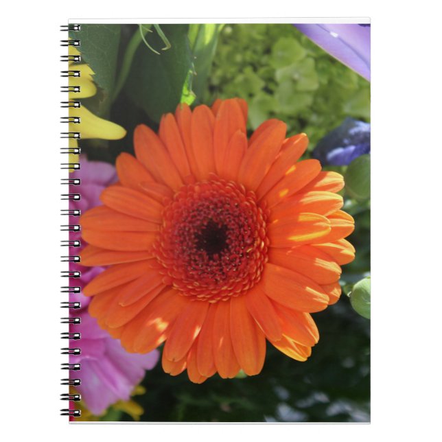 Cuaderno Zinnia (Frente)