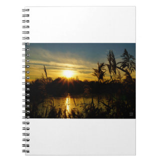 Cuaderno Zonsondergang bij een meertje met rietpluimen.