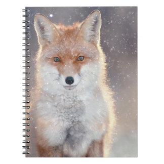 Cuaderno zorro rojo, bosque de invierno, ilustracion pintor