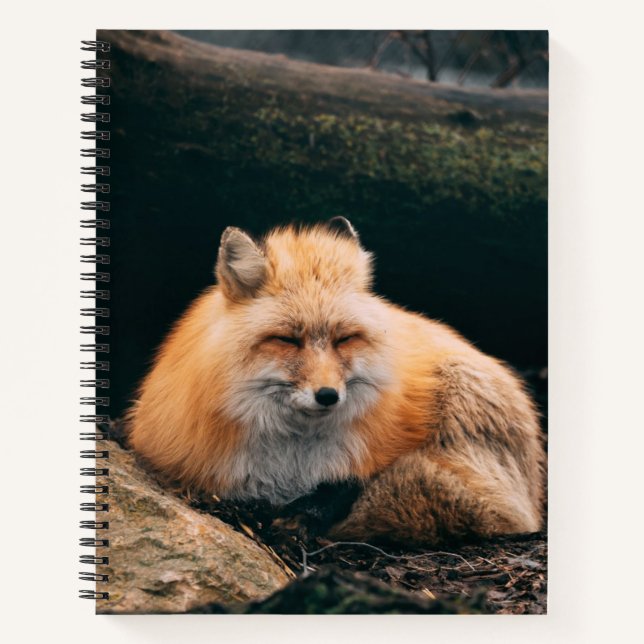 Cuaderno Zorro Rojo Dormiendo (Anverso)