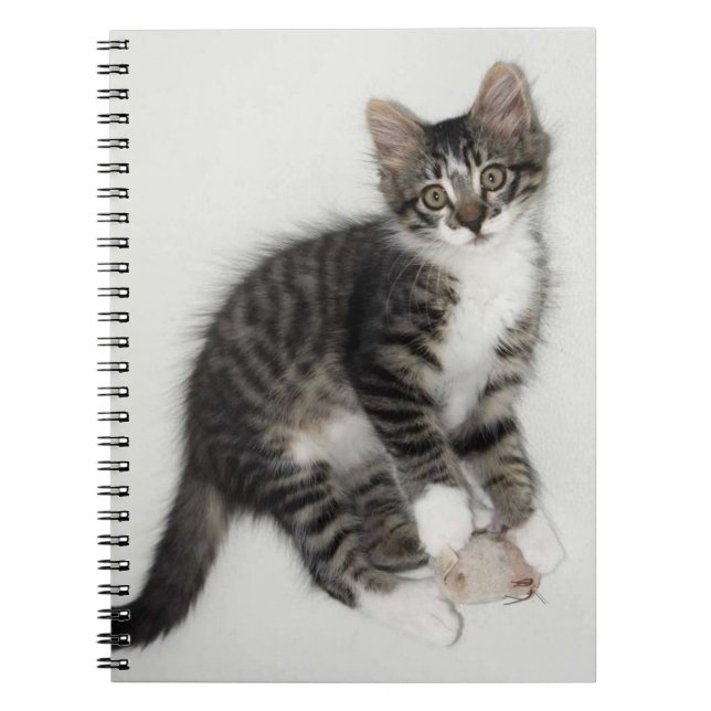 Cuaderno Zorro y su bloc de notas de ratón (Frente)