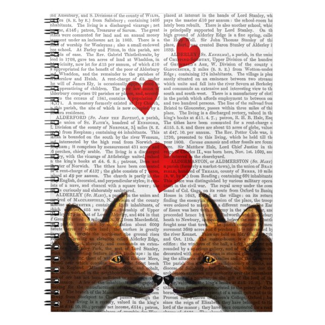 Cuaderno zorros enamorados (Frente)