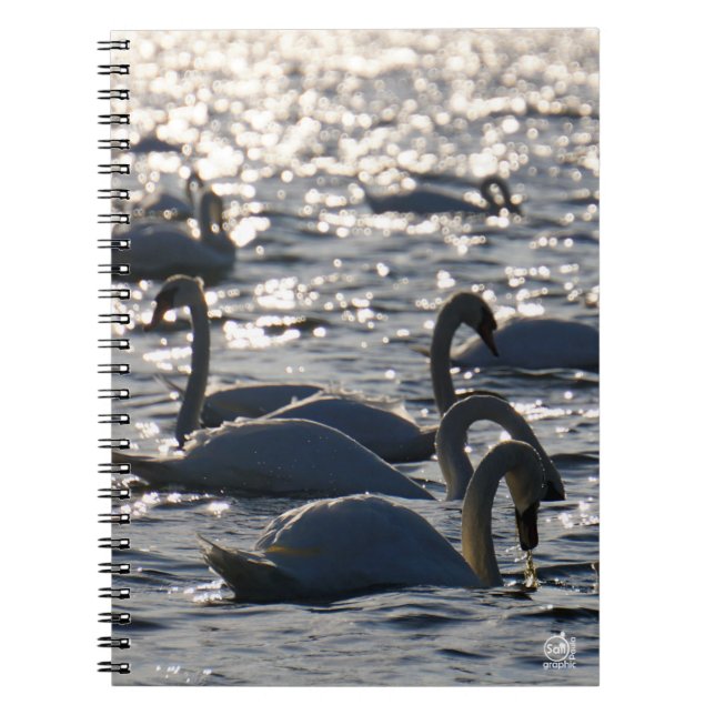 Cuaderno Zwanen in een groep op het water met glinsterend z (Frente)