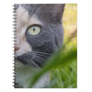 Cuaderno Zwischen Halmen – Kobayashi im Grünen