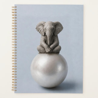 Cuadernos