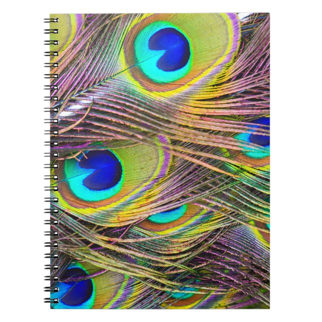 Cuadernos de 5 plumas de pavo real (Frente)