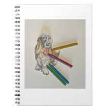 Cuadernos de Bassie