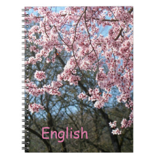 Cuadernos en inglés Agregar Clase personalizada Ár