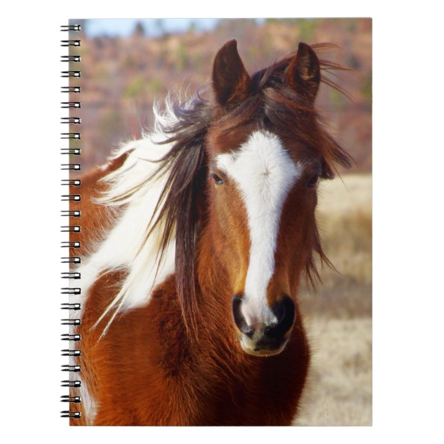 Cuadernos espirales del caballo hermoso de la (Frente)