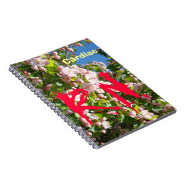 Cuadernos personalizados de enfermería RN Cardiac
