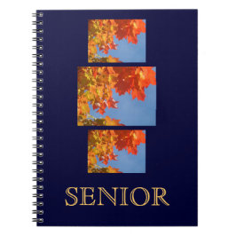 cuadernos SENIOR Cuaderno de último año de la escu