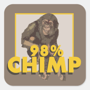 Cuadrada 98% Pegatina de chimpancé