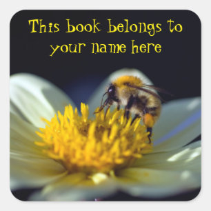 Cuadrada Abeja pegatina "Este libro le pertenece"