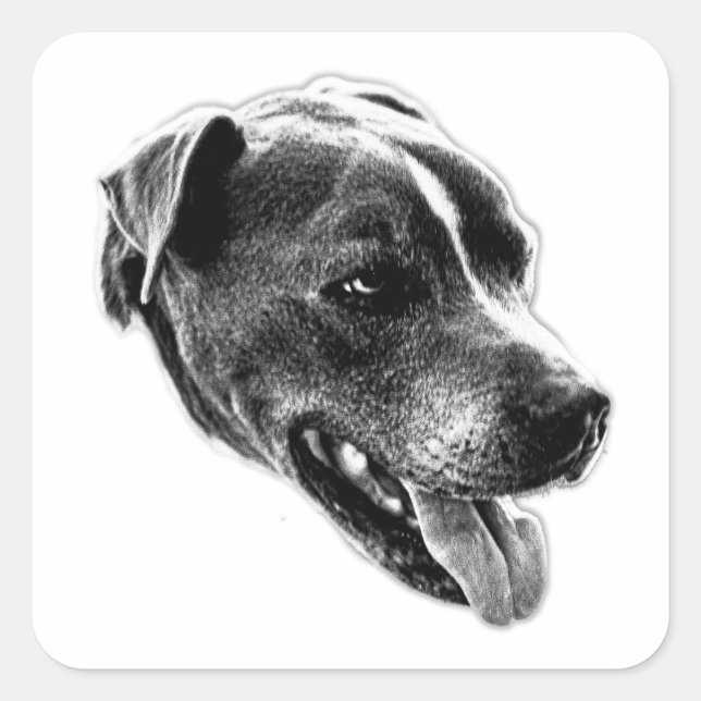 Cuadrada Agradable sonrisa Pitbull Mix Pegatina de Arte (Anverso)