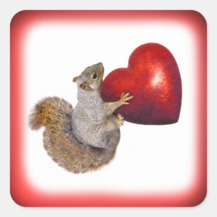 Cuadrada Ardilla con el pegatina rojo grande del corazón