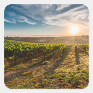 Cuadrada Atardecer sobre el Pegatina de la granja