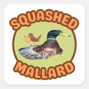 Cuadrada Ave con barba Pegatina de Mallard