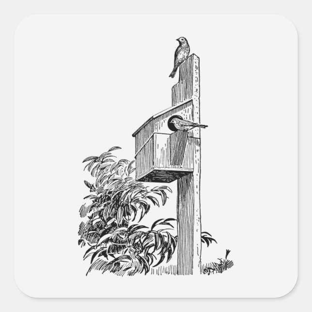 Cuadrada Aves de época y Pegatina de Birdhouse Square (Anverso)