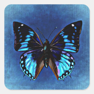 Cuadrada Azul en Pegatina de mariposa azul