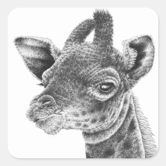 Cuadrada Baby Giraffe Pegatina (Anverso)