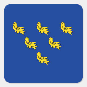 Cuadrada Bandera del Pegatina de la Plaza Sussex