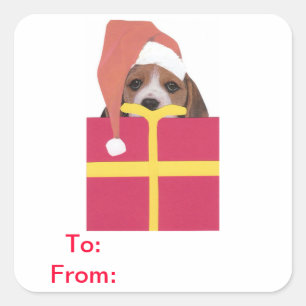 Cuadrada Beagle Santa Hat Gift Tags Pegatina