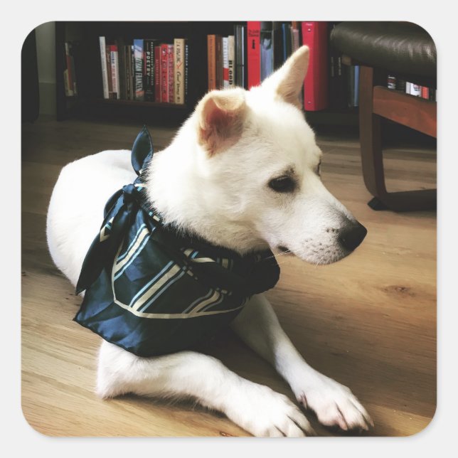 Cuadrada Biblioteca Eno Pegatina (Anverso)