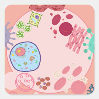 Cuadrada Biología Células Pegatina – Ciencia de Células Col