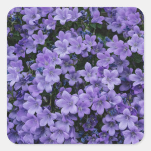 Cuadrada Bonito conjunto Pegatina de flores moradas