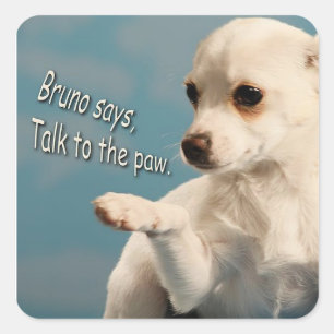 Cuadrada Bruno Dice Hablar Con El Pegatina Paw
