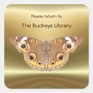 Cuadrada Buckeye mariposa Bookplate 2 ~ pegatina