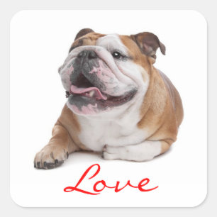 Cuadrada Bulldog feliz amor Perro Pegatina