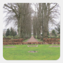 Camino en Dinamarca Pegatina