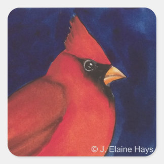 Cuadrada Cardenal rojo Pegatina