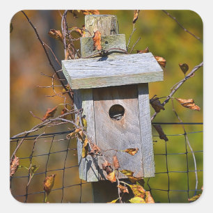 Cuadrada Casa De Aves En El Pegatina De Otoño